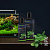 Dennerle Plant Care Pro 250мл Удобрение комплексное профессиональное